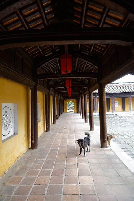 Hué-Cité interdite-134